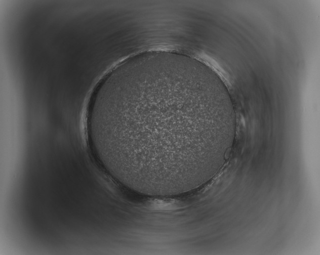 X0000101990346200807251230