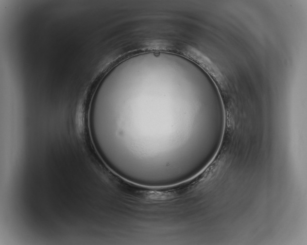 X0000101990347200807251230