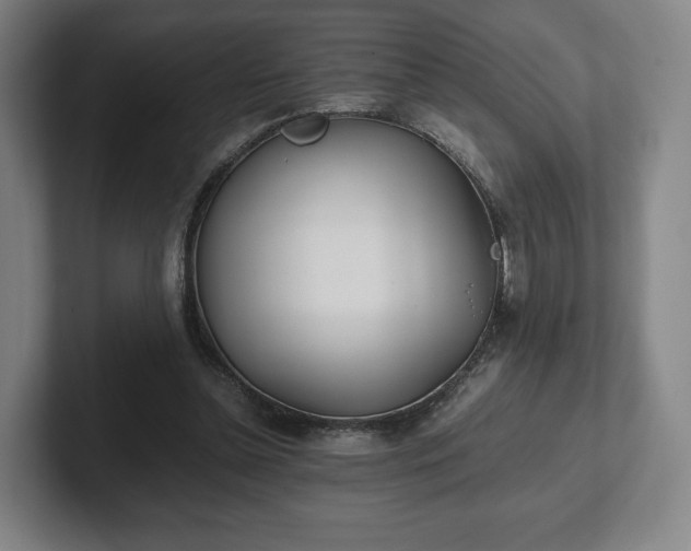 X0000101990348200807251230