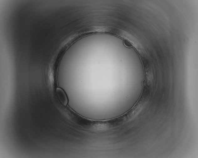 X0000101990350200807251230