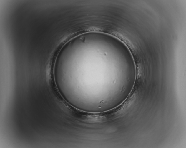 X0000101990351200807251230