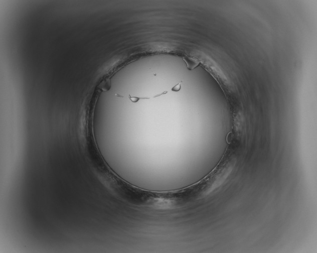 X0000101990352200807251230