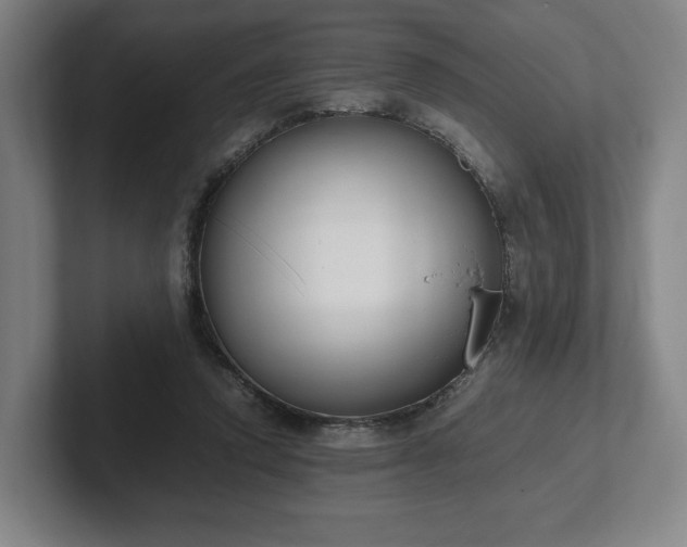 X0000101990354200807251230