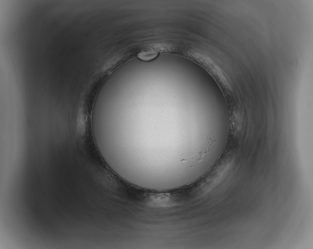 X0000101990355200807251230