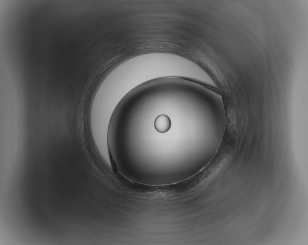 X0000101990356200807251230