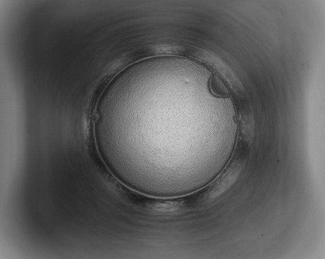 X0000101990357200807251230
