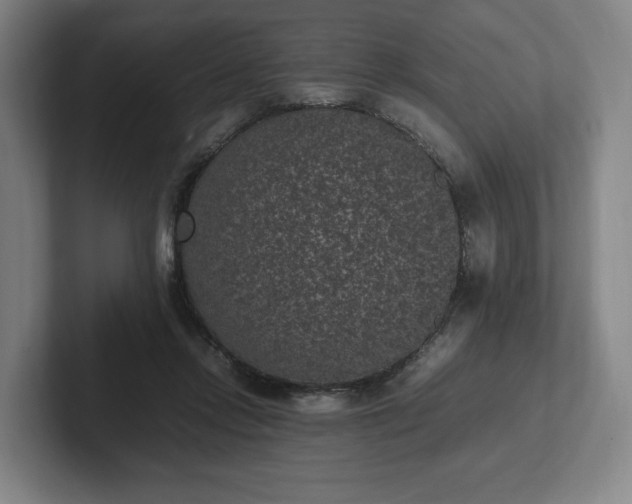 X0000101990358200807251230