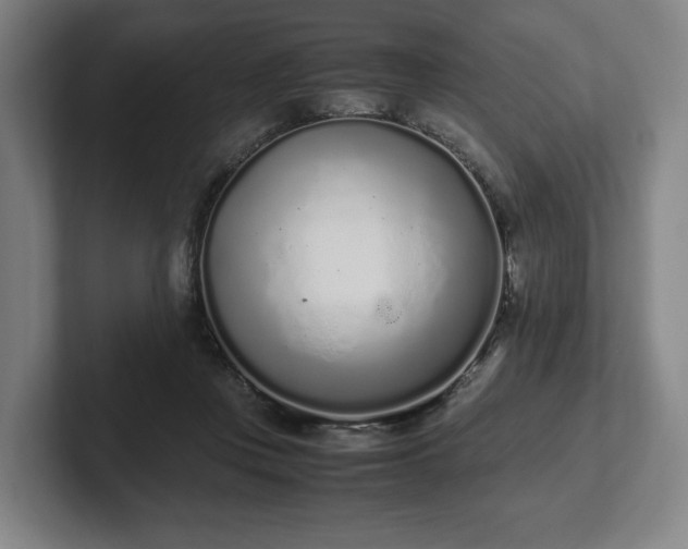 X0000101990359200807251230