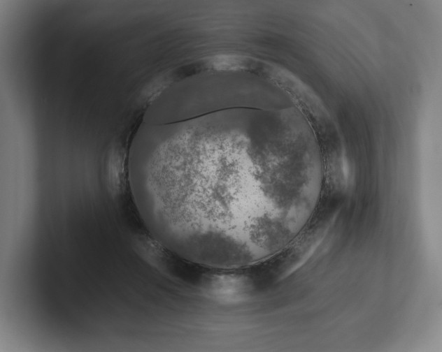 X0000101990360200807251230