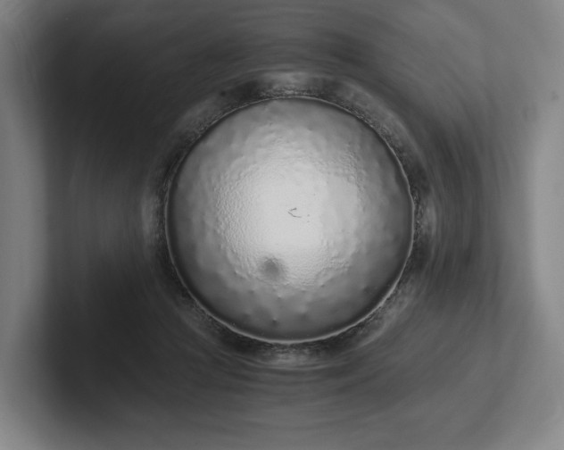 X0000101990361200807251230