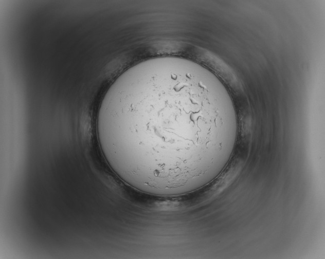 X0000101990362200807251230