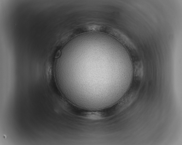 X0000101990363200807251230