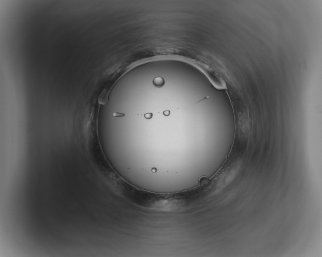 X0000101990364200807251230