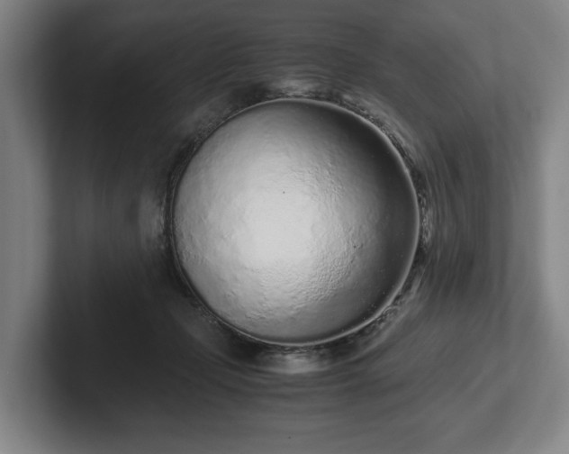 X0000101990365200807251230