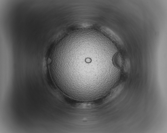 X0000101990366200807251231