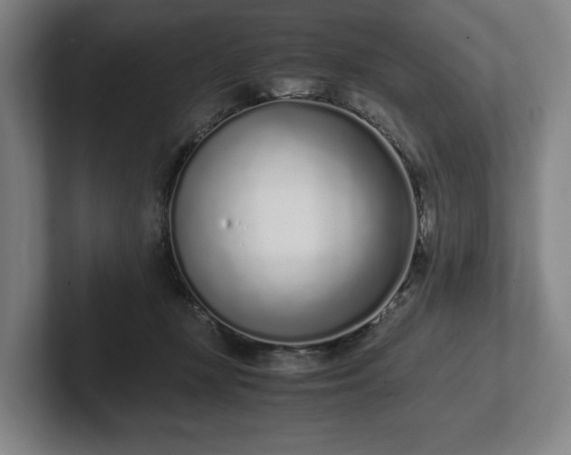 X0000101990367200807251231