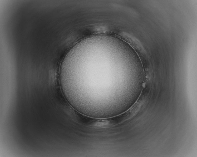 X0000101990369200807251231