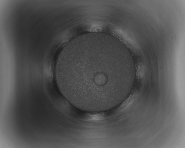 X0000101990370200807251231