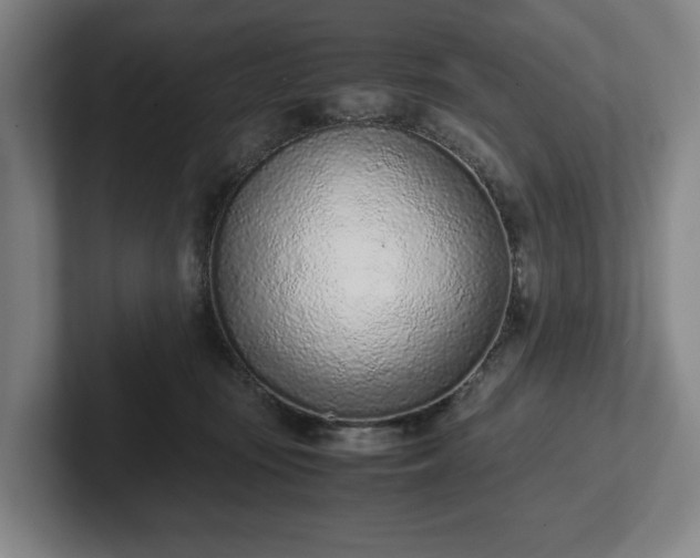 X0000101990371200807251231