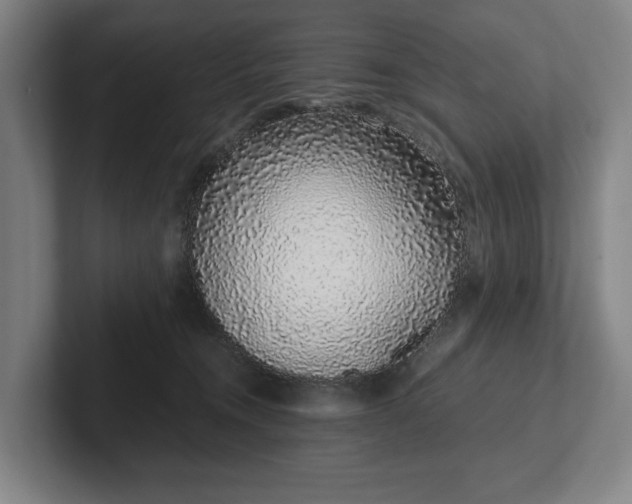 X0000101990372200807251231