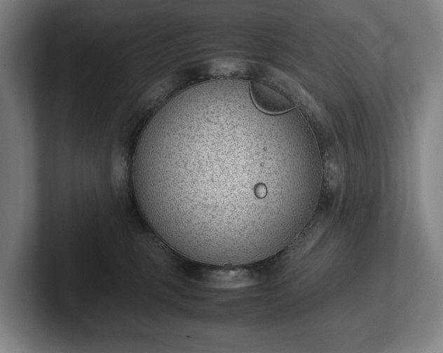 X0000101990375200807251231