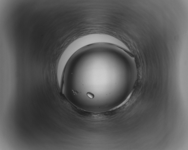 X0000101990376200807251231