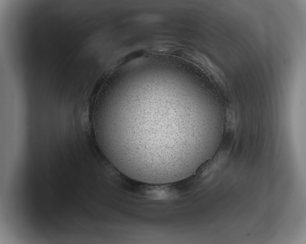 X0000101990377200807251231