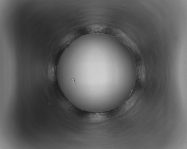 X0000101990378200807251231