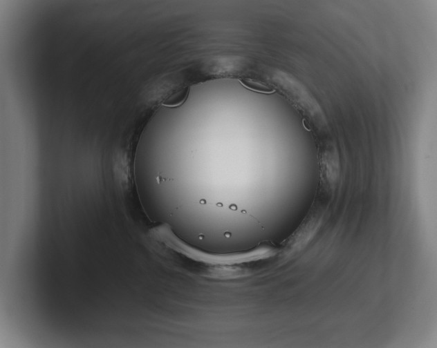 X0000101990380200807251231