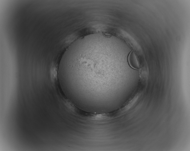 X0000101990382200807251231