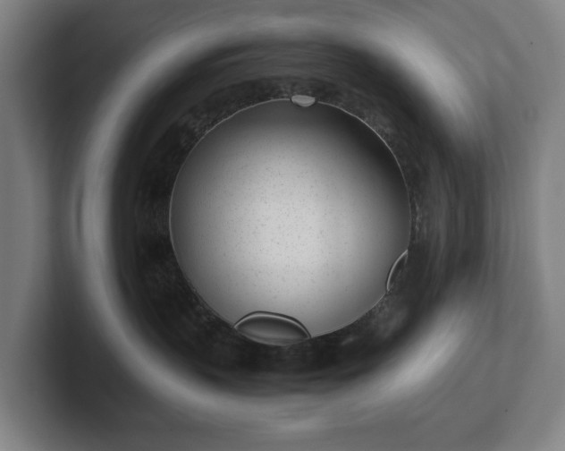 X0000101990383200807251231
