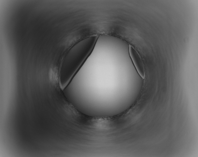 X0000101990384200807251231