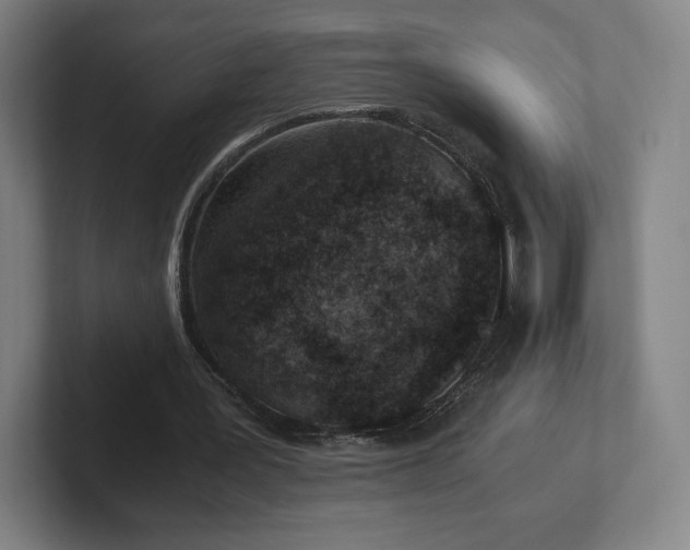 X0000101990387200807251230