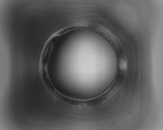 X0000101990388200807251230