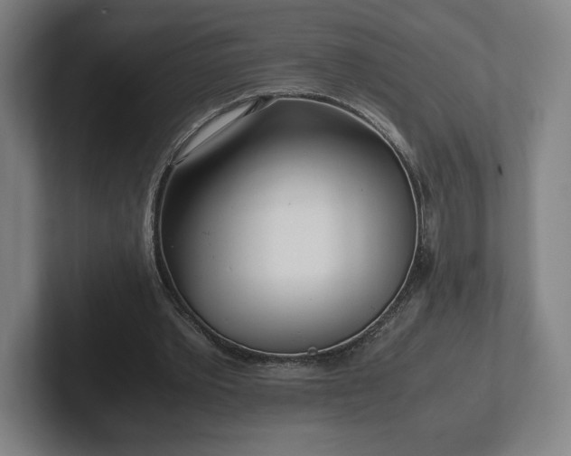 X0000101990389200807251230