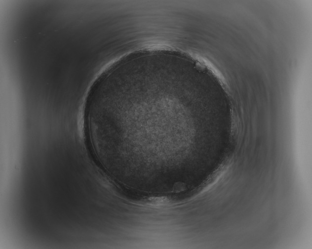 X0000101990391200807251230