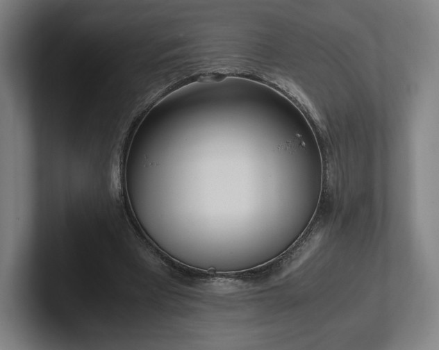 X0000101990393200807251230
