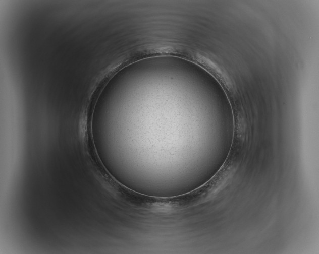 X0000101990394200807251230
