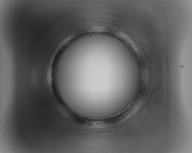 X0000101990395200807251230