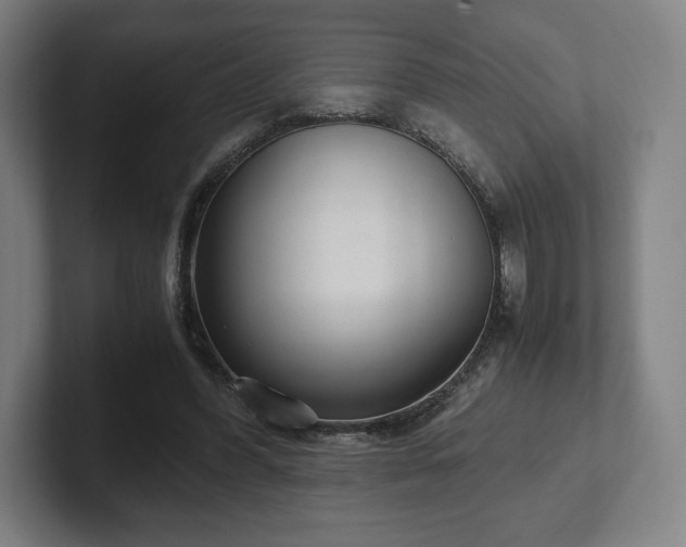 X0000101990396200807251230