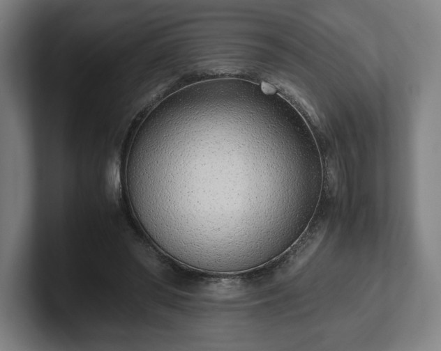 X0000101990398200807251230