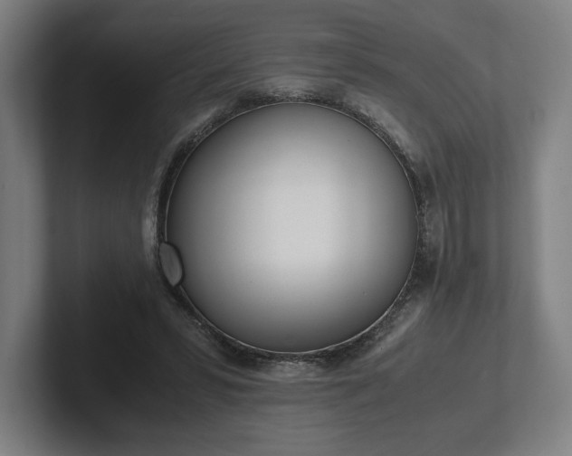 X0000101990399200807251230