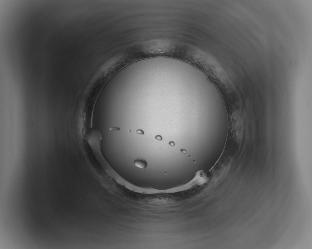 X0000101990400200807251230
