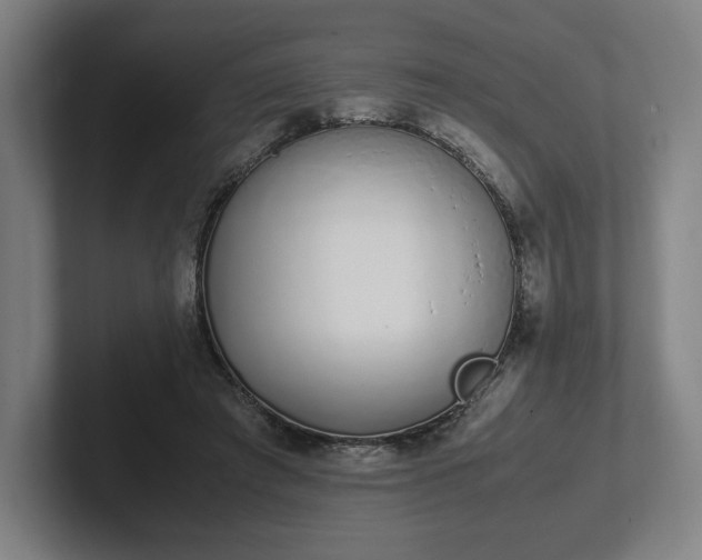 X0000101990401200807251230