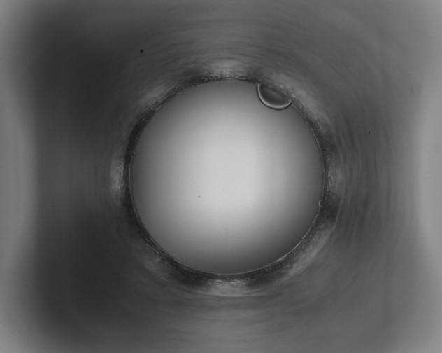 X0000101990403200807251230
