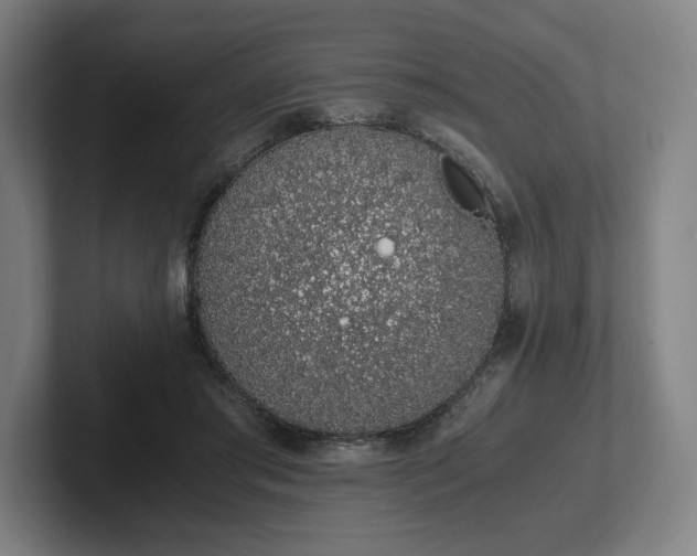 X0000101990405200807251230