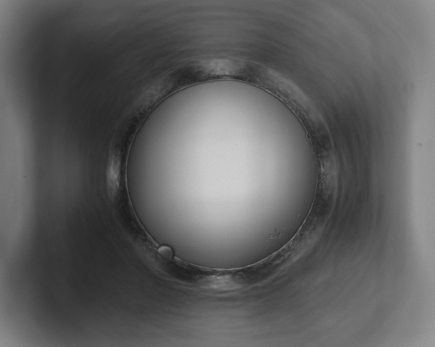 X0000101990406200807251230