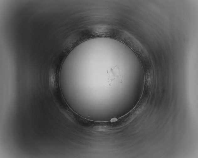 X0000101990408200807251230