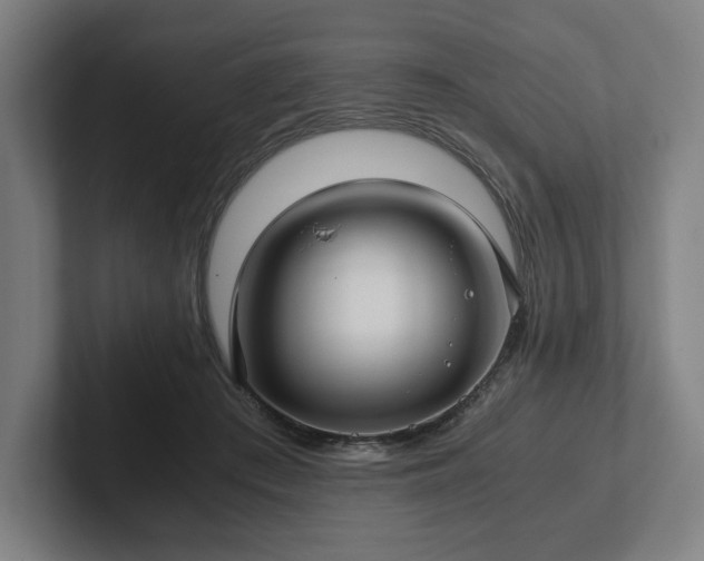 X0000101990409200807251230