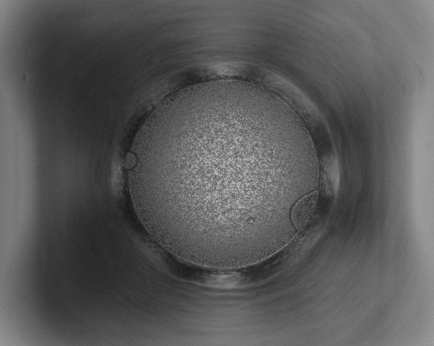 X0000101990410200807251230